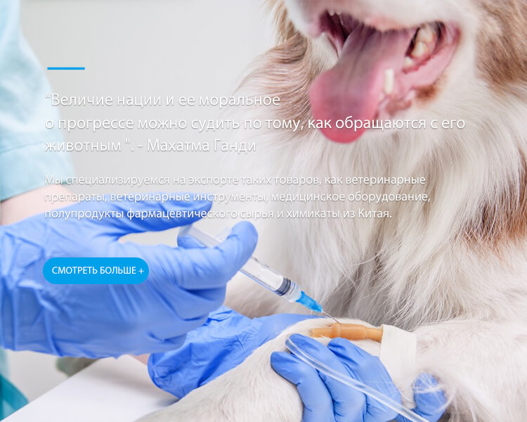 banner_phone1 俄语