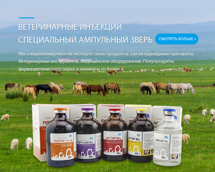 banner_phone2 俄语